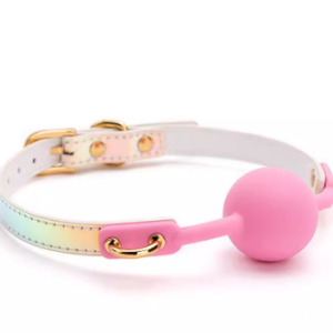 BDSM Silicone Ball Gag for Roleplay
